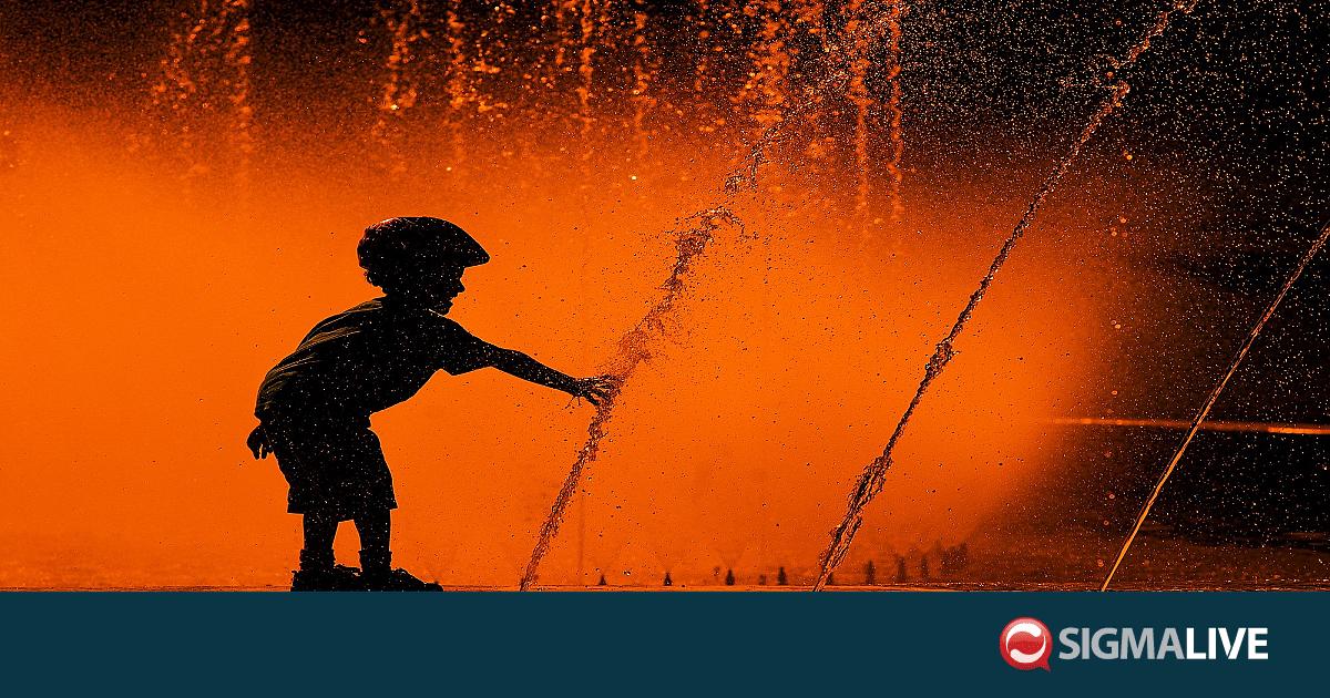 &Pi;&omicron;&rho;&tau;&omicron;&kappa;&alpha;&lambda;ί &pi;&rho;&omicron;&epsilon;&iota;&delta;&omicron;&pi;&omicron;ί&eta;&sigma;&eta; &gamma;&iota;&alpha; &kappa;&alpha;ύ&sigma;&omega;&nu;&alpha;- &Sigma;&tau;&omicron;&upsilon;&sigmaf; 43 &beta;&alpha;&theta;&mu;&omicron;ύ&sigmaf; &alpha;ύ&rho;&iota;&omicron;