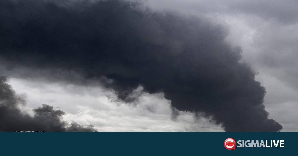 &Rho;&omega;&sigma;ί&alpha;: &Omicron;&upsilon;&kappa;&rho;&alpha;&nu;&iota;&kappa;ά &pi;&lambda;ή&gamma;&mu;&alpha;&tau;&alpha; &sigma;&epsilon; &alpha;&pi;&omicron;&theta;ή&kappa;&epsilon;&sigmaf; &tau;&omicron;&upsilon; &delta;&iota;&alpha;&delta;&iota;&kappa;&tau;&upsilon;&alpha;&kappa;&omicron;ύ &lambda;&iota;&alpha;&nu;&epsilon;&mu;&pi;ό&rho;&omicron;&upsilon; Wildberries