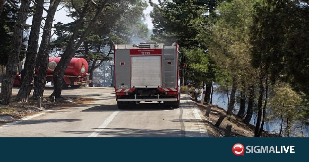 &laquo;&Kappa;ό&kappa;&kappa;&iota;&nu;&omicron;&sigmaf; &sigma;&upsilon;&nu;&alpha;&gamma;&epsilon;&rho;&mu;ό&sigmaf;&raquo; &gamma;&iota;&alpha; &pi;&rho;ό&kappa;&lambda;&eta;&sigma;&eta; &delta;&alpha;&sigma;&iota;&kappa;ώ&nu; &pi;&upsilon;&rho;&kappa;&alpha;&gamma;&iota;ώ&nu; &tau;&eta;&nu; &Pi;&alpha;&rho;&alpha;&sigma;&kappa;&epsilon;&upsilon;ή
