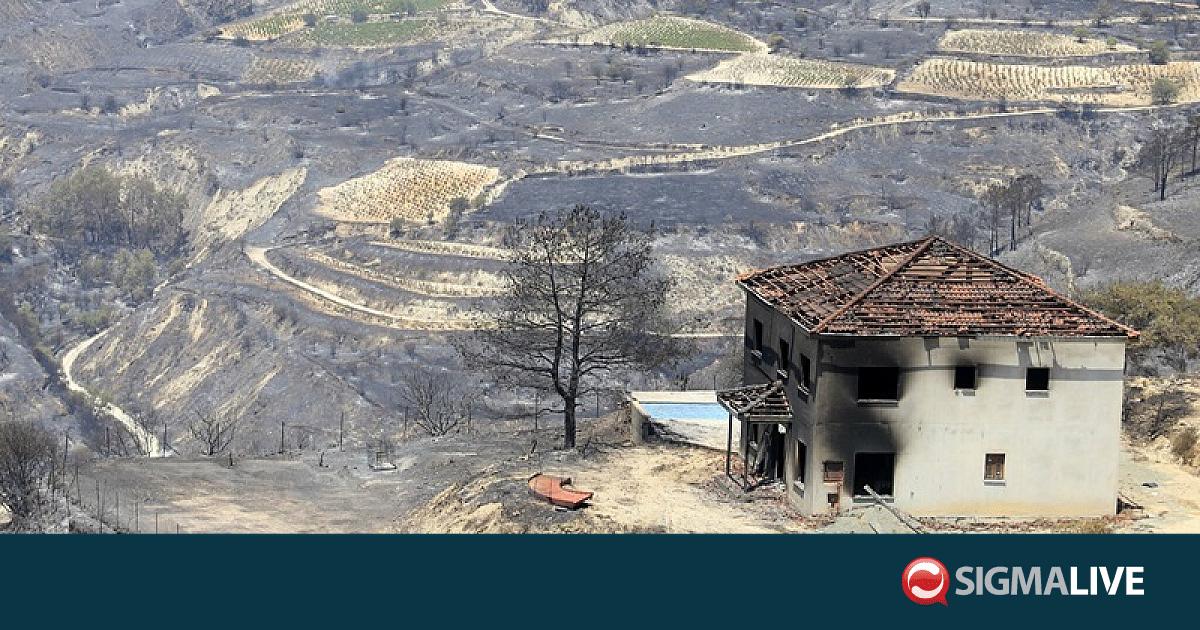Έ&nu;&alpha;&sigmaf; &chi;&rho;ό&nu;&omicron;&sigmaf; &mu;&epsilon;&tau;ά &tau;&omicron;&nu; &pi;ύ&rho;&iota;&nu;&omicron; &epsilon;&phi;&iota;ά&lambda;&tau;&eta; &ndash; &Eta; &omicron;&rho;&epsilon;&iota;&nu;ή &Lambda;&epsilon;&mu;&epsilon;&sigma;ό&sigmaf; &mu;&epsilon;&tau;&rho;ά &pi;&lambda;&eta;&gamma;έ&sigmaf; (&Beta;&Iota;&Nu;&Tau;&Epsilon;&Omicron;)