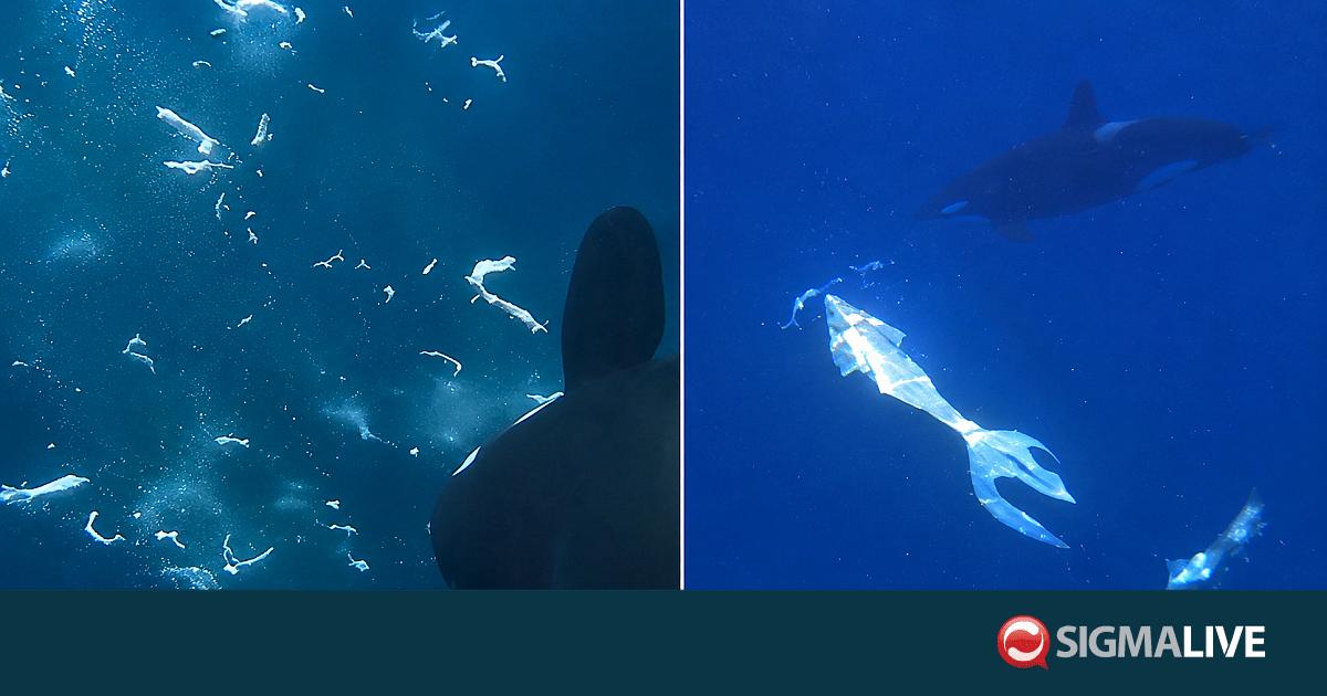 &Beta;&Iota;&Nu;&Tau;&Epsilon;&Omicron;: &Psi;ά&rho;&iota; &laquo;&epsilon;&kappa;&rho;ή&gamma;&nu;&upsilon;&tau;&alpha;&iota;&raquo; &mu;&epsilon;&tau;ά &alpha;&pi;ό &epsilon;&pi;ί&theta;&epsilon;&sigma;&eta; ό&rho;&kappa;&alpha;&sigmaf;