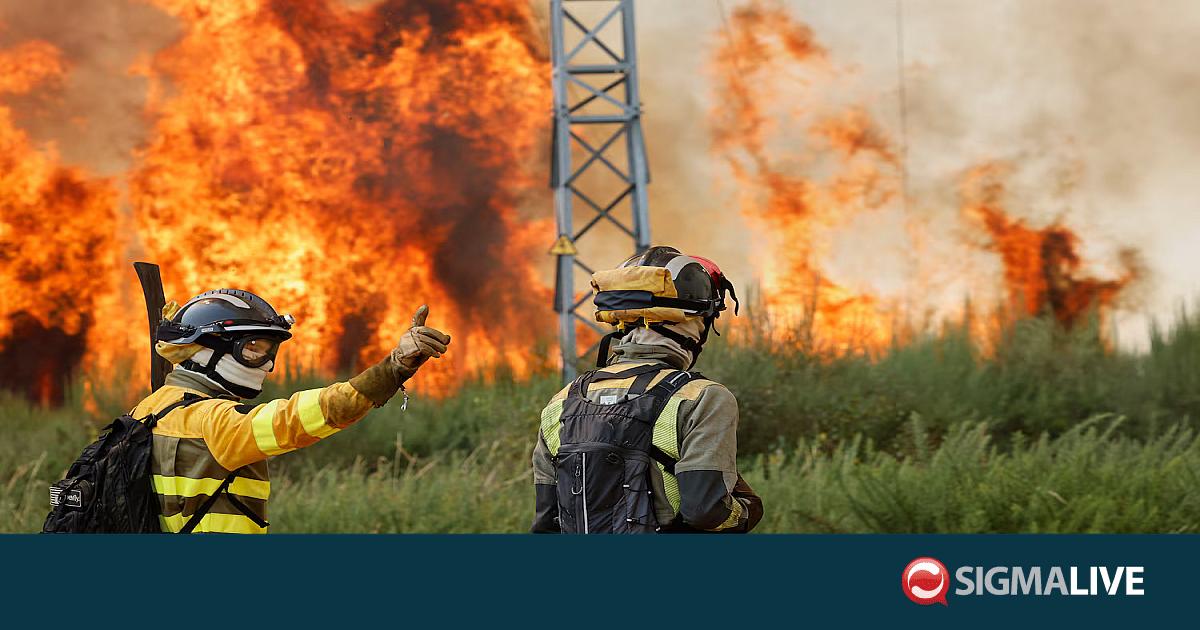 &Pi;ύ&rho;&iota;&nu;&omicron;&sigmaf; &epsilon;&phi;&iota;ά&lambda;&tau;&eta;&sigmaf; &sigma;&epsilon; &Iota;&sigma;&pi;&alpha;&nu;ί&alpha; &kappa;&alpha;&iota; &Gamma;&alpha;&lambda;&lambda;ί&alpha;: &Pi;&omicron;&lambda;&iota;&omicron;&rho;&kappa;&epsilon;ί&tau;&alpha;&iota; &Mu;&alpha;&delta;&rho;ί&tau;&eta; &kappa;&alpha;&iota; &Mu;&pi;&omicron;&rho;&nu;&tau;ό (vid)