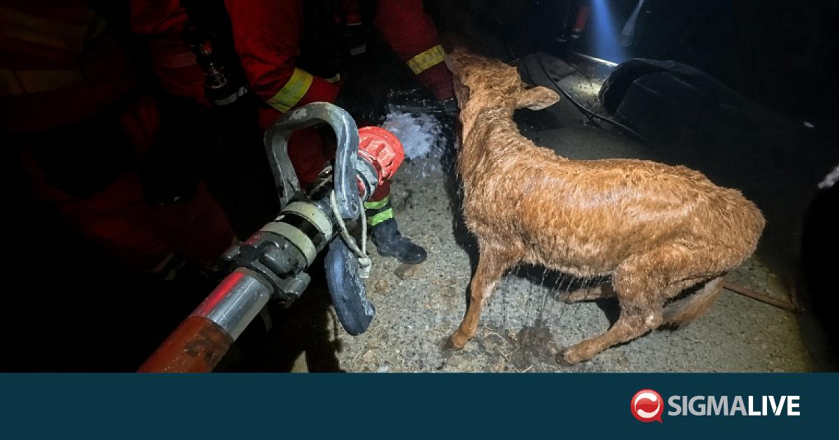 &Beta;&Iota;&Nu;&Tau;&Epsilon;&Omicron;: &Eta; &sigma;&tau;&iota;&gamma;&mu;ή &pi;&omicron;&upsilon; &pi;&upsilon;&rho;&omicron;&sigma;&beta;έ&sigma;&tau;&epsilon;&sigmaf; &sigma;ώ&zeta;&omicron;&upsilon;&nu; &zeta;ώ&alpha; &alpha;&pi;ό &tau;&eta;&nu; &lambda;&alpha;ί&lambda;&alpha;&pi;&alpha; &sigma;&tau;&eta;&nu; &Iota;&sigma;&pi;&alpha;&nu;ί&alpha;