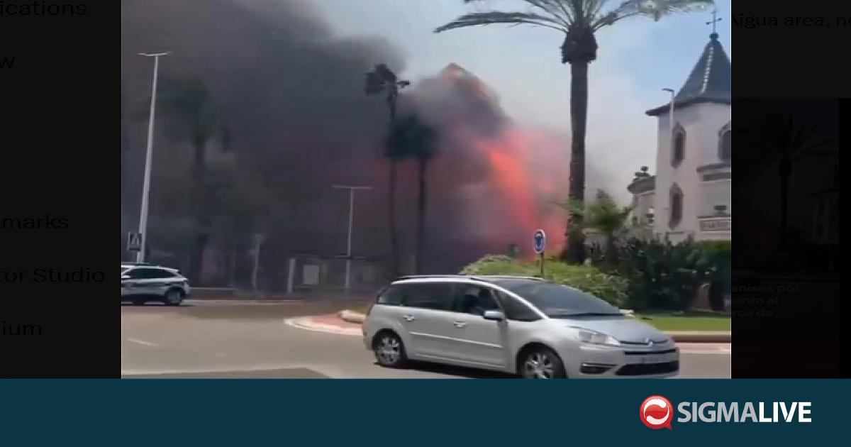 &Iota;&sigma;&pi;&alpha;&nu;ί&alpha;: Έ&nu;&alpha;&sigmaf; &nu;&epsilon;&kappa;&rho;ό&sigmaf; &alpha;&pi;ό &delta;&alpha;&sigma;&iota;&kappa;ή &pi;&upsilon;&rho;&kappa;&alpha;&gamma;&iota;ά &sigma;&tau;&eta; &Beta;&alpha;&lambda;έ&nu;&theta;&iota;&alpha;