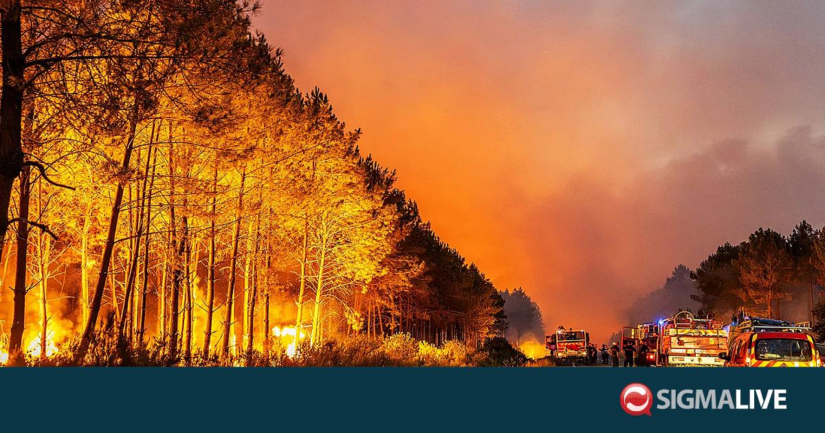 &Upsilon;&Pi;&Epsilon;&Sigma; &Gamma;&alpha;&lambda;&lambda;ί&alpha;&sigmaf; &gamma;&iota;&alpha; &pi;&upsilon;&rho;&kappa;&alpha;&gamma;&iota;έ&sigmaf;: &Eta; &kappa;&alpha;&tau;ά&sigma;&tau;&alpha;&sigma;&eta; &epsilon;ί&nu;&alpha;&iota; &pi;&omicron;&lambda;ύ &delta;&upsilon;&sigma;&mu;&epsilon;&nu;ή&sigmaf;