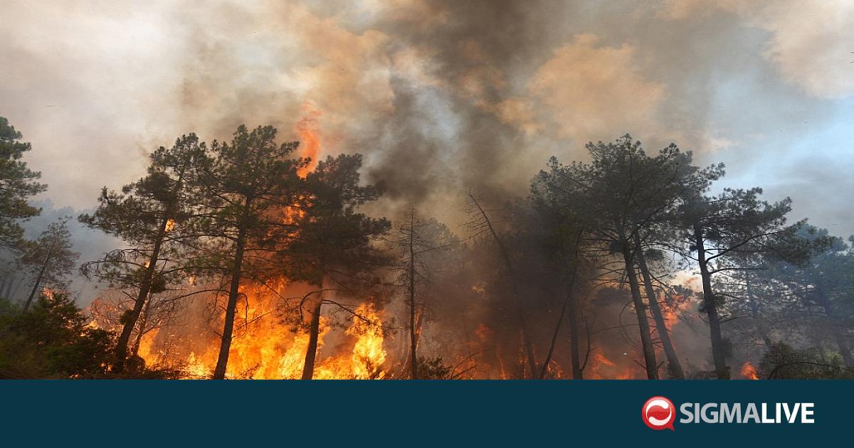 &Pi;ύ&rho;&iota;&nu;&omicron;&sigmaf; &epsilon;&phi;&iota;ά&lambda;&tau;&eta;&sigmaf; &sigma;&epsilon; &Gamma;&alpha;&lambda;&lambda;ί&alpha;-&Iota;&sigma;&pi;&alpha;&nu;ί&alpha;: &Pi;ά&nu;&omega; &alpha;&pi;ό 280.000 ά&nu;&theta;&rho;&omega;&pi;&omicron;&iota; &alpha;&pi;&omicron;&mu;&alpha;&kappa;&rho;ύ&nu;&theta;&eta;&kappa;&alpha;&nu;