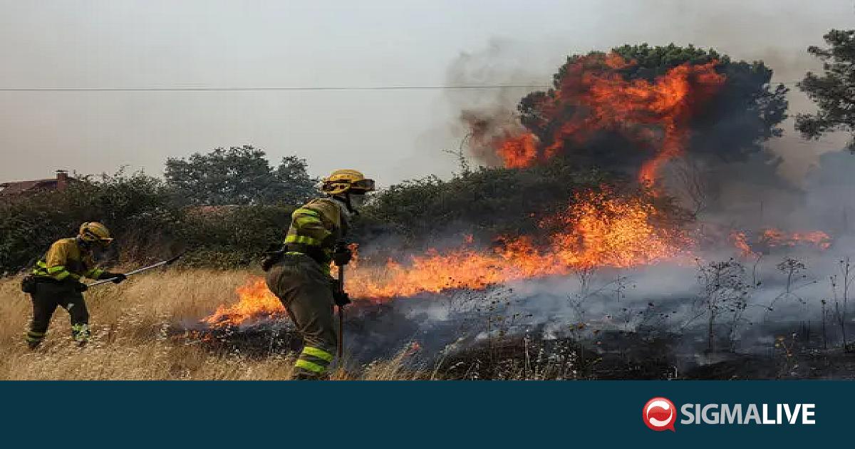 &Pi;ύ&rho;&iota;&nu;&omicron;&sigmaf; &epsilon;&phi;&iota;ά&lambda;&tau;&eta;&sigmaf; &sigma;&epsilon; &Gamma;&alpha;&lambda;&lambda;ί&alpha; &kappa;&alpha;&iota; &Iota;&sigma;&pi;&alpha;&nu;ί&alpha; &ndash; &Pi;ά&nu;&omega; &alpha;&pi;ό 360.000 &epsilon;&kappa;&kappa;&epsilon;&nu;ώ&sigma;&epsilon;&iota;&sigmaf; (&Beta;&Iota;&Nu;&Tau;&Epsilon;&Omicron;)