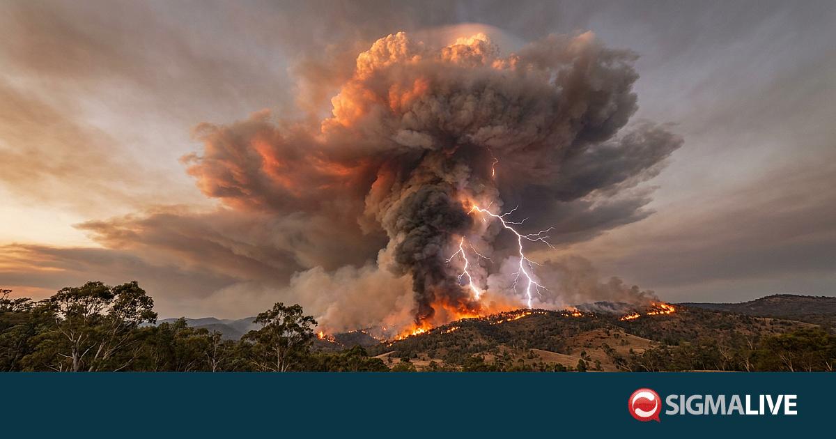 &Omicron;&iota; &laquo;&delta;&rho;ά&kappa;&omicron;&iota; &pi;&omicron;&upsilon; &alpha;&nu;&alpha;&pi;&nu;έ&omicron;&upsilon;&nu; &phi;&omega;&tau;&iota;ά&raquo; &kappa;&alpha;&iota; &kappa;ά&nu;&omicron;&upsilon;&nu; &tau;&iota;&sigmaf; &phi;&omega;&tau;&iota;έ&sigmaf; &pi;&iota;&omicron; &epsilon;&pi;&iota;&kappa;ί&nu;&delta;&upsilon;&nu;&epsilon;&sigmaf;