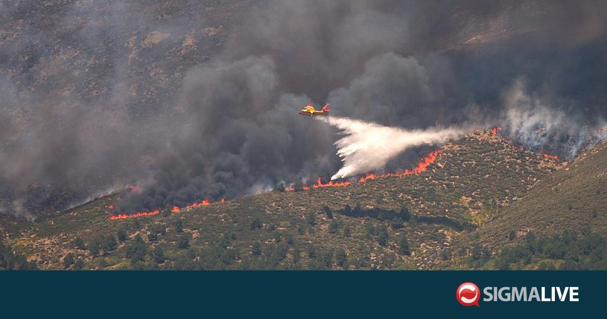 &Iota;&sigma;&pi;&alpha;&nu;ί&alpha;: &Nu;έ&omicron; &kappa;ύ&mu;&alpha; &kappa;&alpha;ύ&sigma;&omega;&nu;&alpha; &kappa;&alpha;&iota; &alpha;&kappa;&rho;&alpha;ί&omicron;&sigmaf; &kappa;ί&nu;&delta;&upsilon;&nu;&omicron;&sigmaf; &pi;&upsilon;&rho;&kappa;&alpha;&gamma;&iota;ώ&nu; &alpha;&pi;ό &tau;&eta;&nu; &Tau;&epsilon;&tau;ά&rho;&tau;&eta;