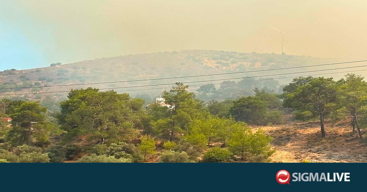 &Tau;&mu;ή&mu;&alpha; &Delta;&alpha;&sigma;ώ&nu;: &Sigma;&upsilon;&sigma;&tau;ή&sigma;&alpha;&mu;&epsilon; &sigma;&tau;&eta;&nu; &Epsilon;&theta;&nu;&iota;&kappa;ή &Phi;&rho;&omicron;&upsilon;&rho;ά &nu;&alpha; &mu;&eta;&nu; &gamma;ί&nu;&omicron;&nu;&tau;&alpha;&iota; &beta;&omicron;&lambda;έ&sigmaf;