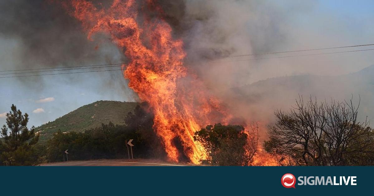 &Mu;&alpha;&kappa;&rho;ό&nu;: &Upsilon;&pi;ό έ&lambda;&epsilon;&gamma;&chi;&omicron; &tau;&omicron; &pi;ύ&rho;&iota;&nu;&omicron; &mu;έ&tau;&omega;&pi;&omicron; &sigma;&tau;&omicron;&nu; &nu;&omicron;&mu;ό &Lambda;&alpha;&nu;&tau;