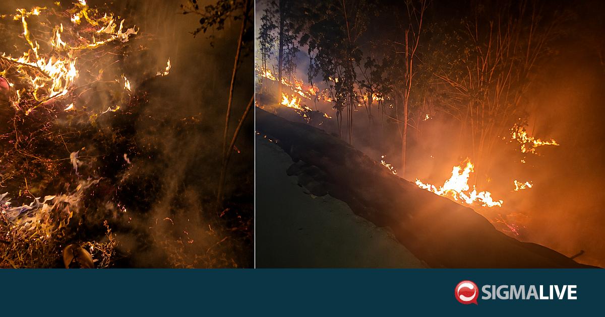 &laquo;Έ&beta;&alpha;&lambda;&alpha;&nu; &phi;&omega;&tau;&iota;ά &sigma;&epsilon; 3 &sigma;&eta;&mu;&epsilon;ί&alpha;&raquo; &sigma;&tau;&omicron; &Pi;έ&rho;&alpha; &Chi;&omega;&rho;&iota;ό &Nu;ή&sigma;&omicron;&upsilon;-&Tau;&iota; &kappa;&alpha;&tau;&alpha;&gamma;&gamma;έ&lambda;&lambda;&omicron;&upsilon;&nu; &pi;&omicron;&lambda;ί&tau;&epsilon;&sigmaf; (vids)