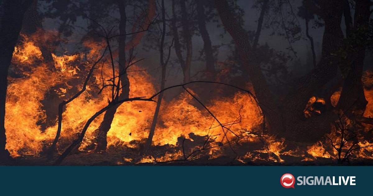 &Sigma;&tau;&alpha; 14 &tau;&alpha; &theta;ύ&mu;&alpha;&tau;&alpha; &tau;&omega;&nu; &pi;&upsilon;&rho;&kappa;&alpha;&gamma;&iota;ώ&nu; &sigma;&tau;&eta;&nu; &Iota;&sigma;&pi;&alpha;&nu;ί&alpha;