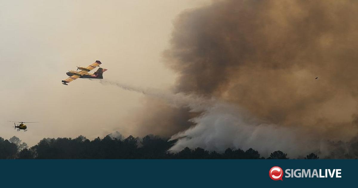 &Pi;ύ&rho;&iota;&nu;&omicron;&sigmaf; &epsilon;&phi;&iota;ά&lambda;&tau;&eta;&sigmaf; &sigma;&epsilon; &Iota;&sigma;&pi;&alpha;&nu;ί&alpha;-&Gamma;&alpha;&lambda;&lambda;ί&alpha;