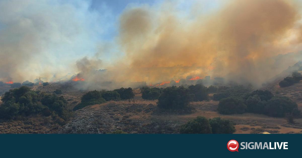 &laquo;Ή&tau;&alpha;&nu; &pi;&rho;&omicron;&gamma;&rho;&alpha;&mu;&mu;&alpha;&tau;&iota;&sigma;&mu;έ&nu;&eta; &delta;&iota;&epsilon;&theta;&nu;ή&sigmaf; &sigma;&tau;&rho;&alpha;&tau;&iota;&omega;&tau;&iota;&kappa;ή &epsilon;&kappa;&pi;&alpha;ί&delta;&epsilon;&upsilon;&sigma;&eta;&raquo;-&Eta; &theta;έ&sigma;&eta; &Sigma;&Alpha;&Kappa;&Sigma; &gamma;&iota;&alpha; &phi;&omega;&tau;&iota;ά