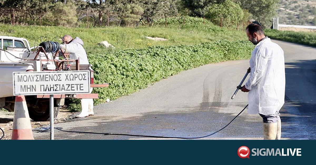 &Epsilon;&pi;&alpha;&mu;&epsilon;&iota;&nu;ώ&nu;&delta;&alpha;&sigmaf;: &Upsilon;&pi;ό &delta;&iota;&epsilon;&rho;&epsilon;ύ&nu;&eta;&sigma;&eta; &delta;ύ&omicron; &pi;&epsilon;&rho;&iota;&pi;&tau;ώ&sigma;&epsilon;&iota;&sigmaf; &alpha;&phi;&theta;ώ&delta;&omicron;&upsilon;&sigmaf; &pi;&upsilon;&rho;&epsilon;&tau;&omicron;ύ