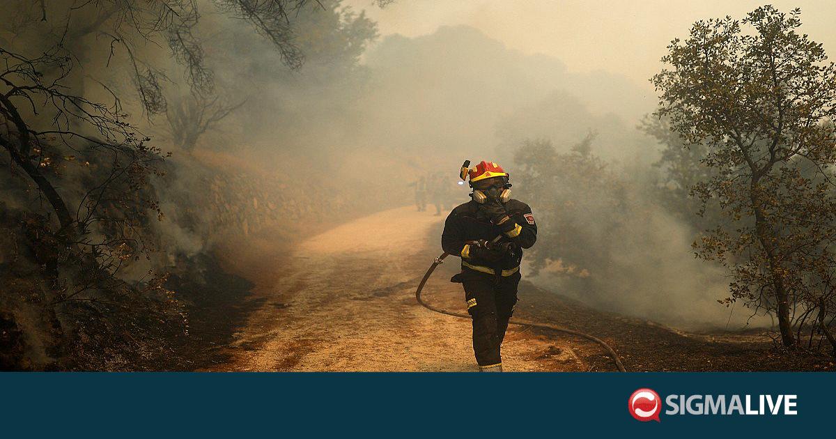 &Iota;&sigma;&pi;&alpha;&nu;ί&alpha;: &Alpha;ί&rho;&epsilon;&tau;&alpha;&iota; &eta; &epsilon;&nu;&tau;&omicron;&lambda;ή &epsilon;&kappa;&kappa;έ&nu;&omega;&sigma;&eta;&sigmaf; &sigma;&epsilon; &kappa;&omicron;&iota;&nu;ό&tau;&eta;&tau;&epsilon;&sigmaf; &pi;&omicron;&upsilon; &epsilon;&pi;&lambda;ή&gamma;&eta;&sigma;&alpha;&nu; &alpha;&pi;ό &pi;&upsilon;&rho;&kappa;&alpha;&gamma;&iota;έ&sigmaf;