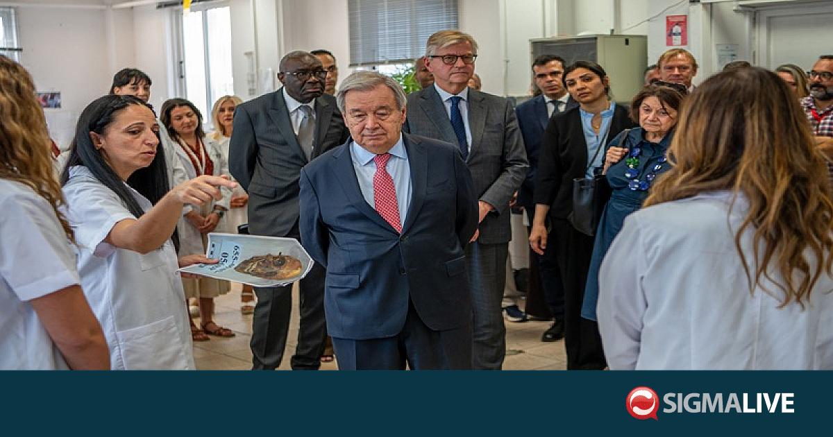 &Gamma;&Gamma; &Omicron;&Eta;&Epsilon;: &Epsilon;&xi;έ&phi;&rho;&alpha;&sigma;&epsilon; &tau;&eta;&nu; &beta;&alpha;&theta;&iota;ά &epsilon;&kappa;&tau;ί&mu;&eta;&sigma;&eta; &tau;&omicron;&upsilon; &pi;&rho;&omicron;&sigmaf; &tau;&omicron; έ&rho;&gamma;&omicron; &tau;&eta;&sigmaf; &Delta;&Epsilon;&Alpha;