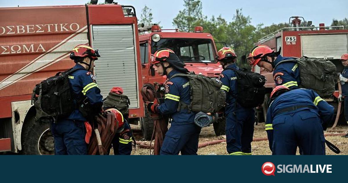 &Sigma;&upsilon;&lambda;&lambda;&upsilon;&pi;&eta;&tau;ή&rho;&iota;&alpha; &Lambda;&omicron;&gamma;&gamma;ί&nu;&omicron;&upsilon; &epsilon;&kappa; &mu;έ&rho;&omicron;&upsilon;&sigmaf; &Kappa;&Delta; &gamma;&iota;&alpha; &tau;&omicron; &theta;ά&nu;&alpha;&tau;&omicron; &tau;&rho;&iota;ώ&nu; &Pi;&upsilon;&rho;&omicron;&sigma;&beta;&epsilon;&sigma;&tau;ώ&nu; &sigma;&tau;&eta;&nu; &Epsilon;&lambda;&lambda;ά&delta;&alpha;