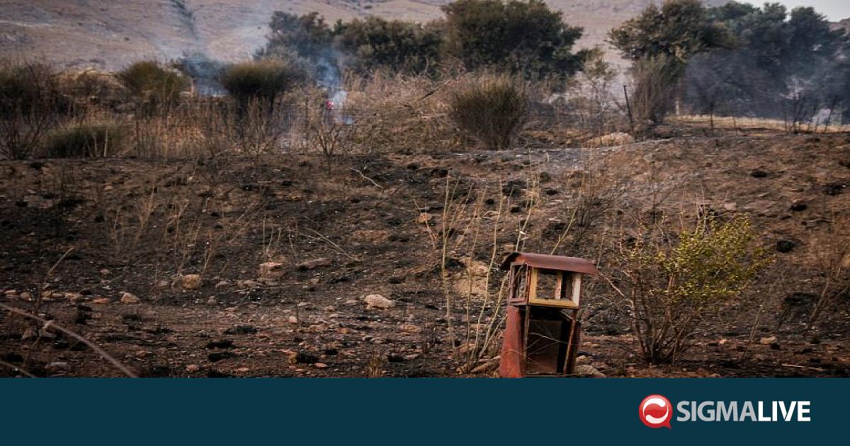 &Pi;&upsilon;&rho;&kappa;&alpha;&gamma;&iota;ά &sigma;&tau;&omicron; &Rho;έ&theta;&upsilon;&mu;&nu;&omicron;: 8.000 ά&nu;&theta;&rho;&omega;&pi;&omicron;&iota; &alpha;&pi;&omicron;&mu;&alpha;&kappa;&rho;ύ&nu;&theta;&eta;&kappa;&alpha;&nu; &alpha;&pi;ό &tau;&alpha; &sigma;&pi;ί&tau;&iota;&alpha; &tau;&omicron;&upsilon;&sigmaf;