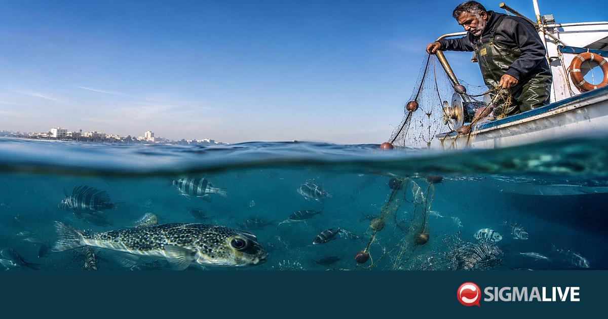 &Kappa;ί&nu;&delta;&upsilon;&nu;&omicron;&sigmaf; &alpha;&pi;ό &epsilon;&pi;έ&lambda;&alpha;&sigma;&eta; &xi;&epsilon;&nu;&iota;&kappa;ώ&nu; &epsilon;&iota;&delta;ώ&nu; - &Eta; &nu;έ&alpha; &Mu;&epsilon;&sigma;ό&gamma;&epsilon;&iota;&omicron;&sigmaf; &xi;&epsilon;&kappa;&iota;&nu;ά &alpha;&pi;ό &tau;&eta;&nu; &Kappa;ύ&pi;&rho;&omicron;