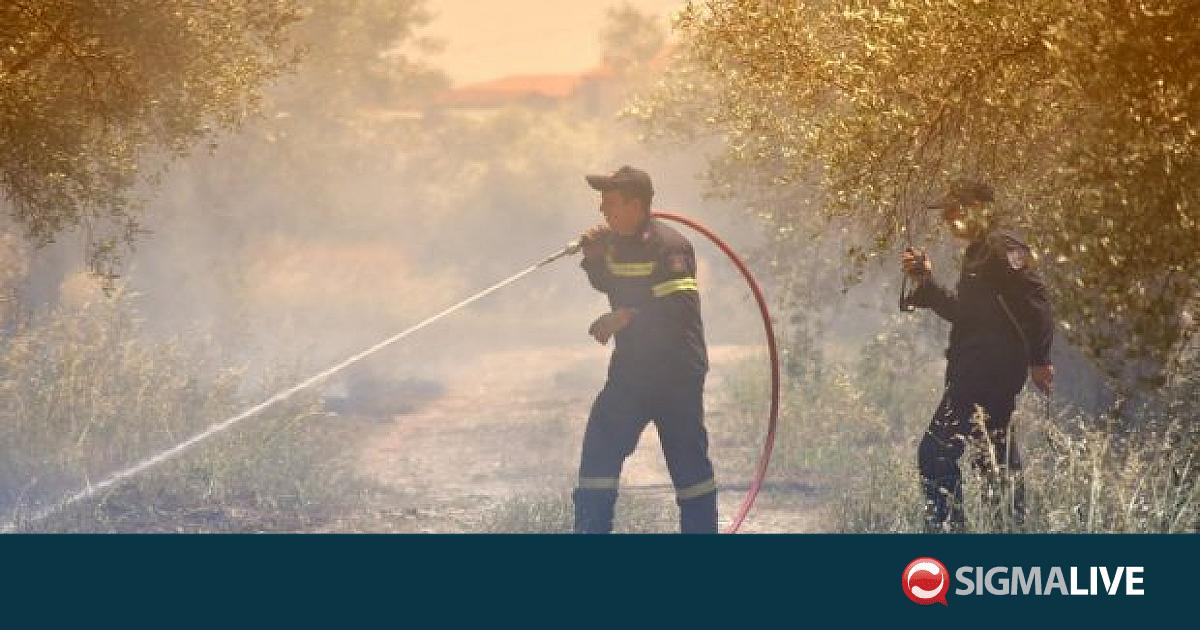 &Upsilon;&Pi;&Epsilon;&Sigma;: &Epsilon;&xi;&epsilon;&tau;ά&zeta;&epsilon;&tau;&alpha;&iota; &kappa;ά&lambda;&upsilon;&psi;&eta; &epsilon;&pi;&iota;&pi;&rho;ό&sigma;&theta;&epsilon;&tau;&omicron;&upsilon; &kappa;ό&sigma;&tau;&omicron;&upsilon;&sigmaf; &gamma;&iota;&alpha; &pi;&upsilon;&rho;&omicron;&pi;&rho;&omicron;&sigma;&tau;&alpha;&sigma;ί&alpha;