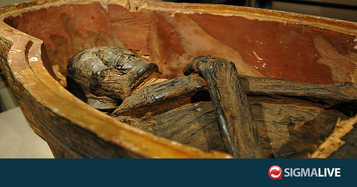 &Epsilon;&rho;&epsilon;&upsilon;&nu;&eta;&tau;έ&sigmaf; &alpha;&nu;έ&kappa;&tau;&eta;&sigma;&alpha;&nu; DNA &epsilon;&upsilon;&lambda;&omicron;&gamma;&iota;ά&sigmaf; &alpha;&pi;ό &delta;ύ&omicron; &mu;&omicron;ύ&mu;&iota;&epsilon;&sigmaf; &sigma;&tau;&eta; &Chi;&iota;&lambda;ή