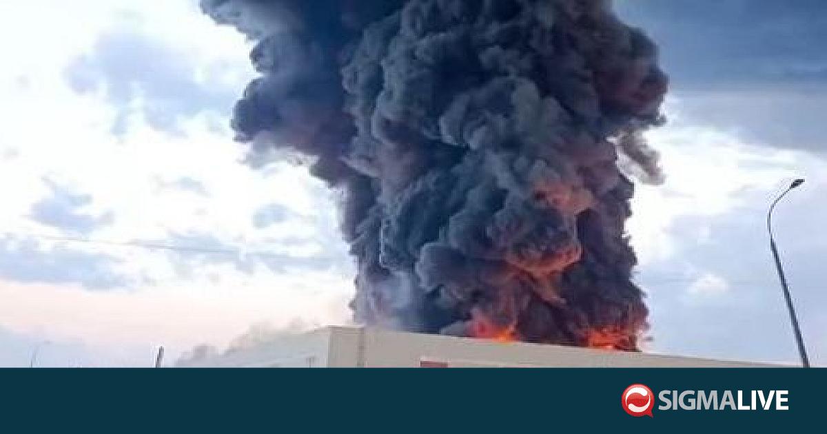 &Rho;&omega;&sigma;ί&alpha;: &Omicron;&upsilon;&kappa;&rho;&alpha;&nu;&iota;&kappa;ό &pi;&lambda;ή&gamma;&mu;&alpha; &sigma;&tau;&eta; Wildberries &ndash; &Eta; Ozon &alpha;&nu;&alpha;&kappa;&omicron;ί&nu;&omega;&sigma;&epsilon; &epsilon;&kappa;&kappa;έ&nu;&omega;&sigma;&eta; &alpha;&pi;&omicron;&theta;ή&kappa;&eta;&sigmaf;
