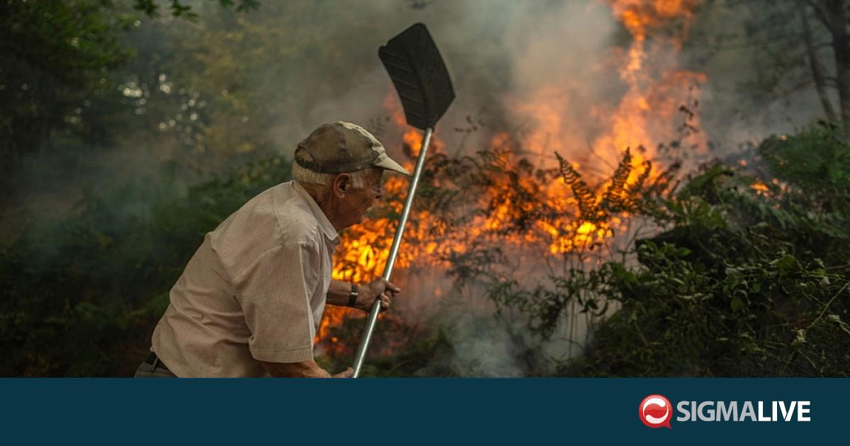 &Iota;&sigma;&pi;&alpha;&nu;ί&alpha;: Έ&nu;&alpha; &chi;&omega;&rho;&iota;ό &epsilon;&nu;ώ&theta;&eta;&kappa;&epsilon; &gamma;&iota;&alpha; &nu;&alpha; &sigma;ώ&sigma;&epsilon;&iota; &mu;&iota;&alpha; &kappa;&alpha;&sigma;&tau;&alpha;&nu;&iota;ά 500 &epsilon;&tau;ώ&nu; &alpha;&pi;ό &tau;&iota;&sigmaf; &phi;&lambda;ό&gamma;&epsilon;&sigmaf;