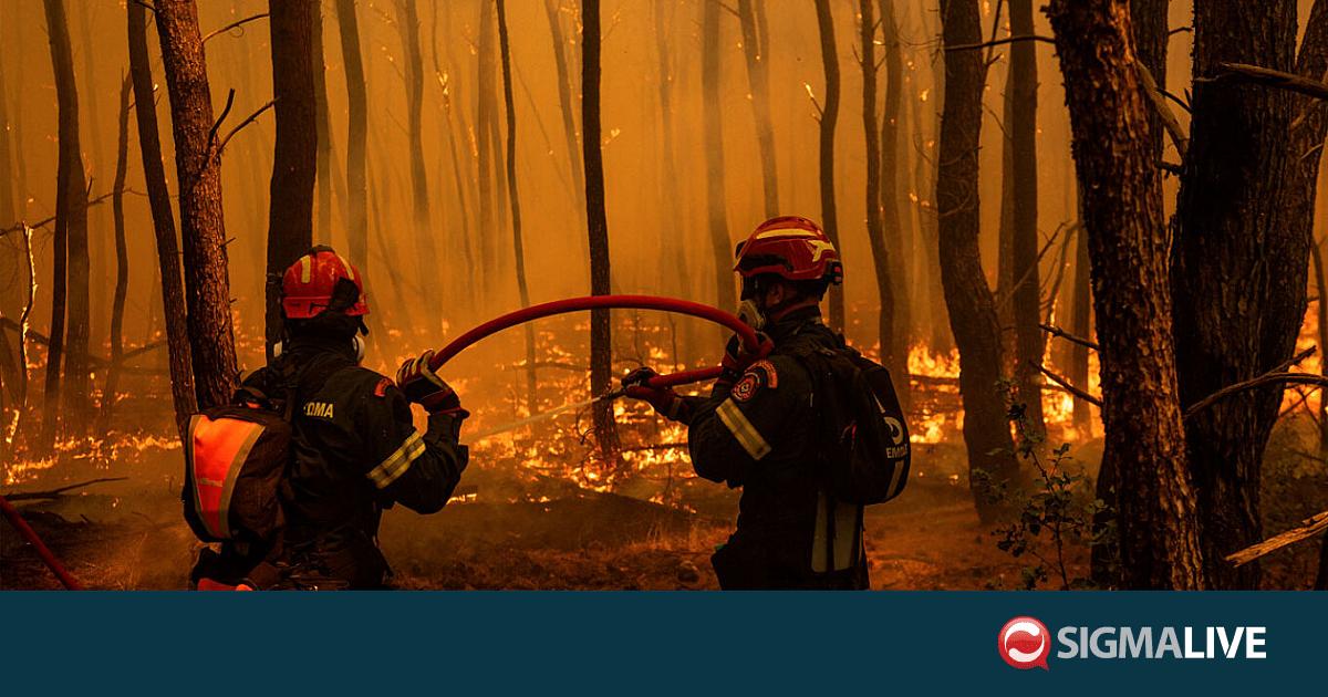 &Epsilon;&iota;&kappa;ό&nu;&epsilon;&sigmaf; &alpha;&pi;&epsilon;&lambda;&pi;&iota;&sigma;ί&alpha;&sigmaf; &alpha;&pi;ό &tau;&omicron;&nu; &pi;ύ&rho;&iota;&nu;&omicron; &epsilon;&phi;&iota;ά&lambda;&tau;&eta; &sigma;&tau;&eta;&nu; &Epsilon;&lambda;&lambda;ά&delta;&alpha;