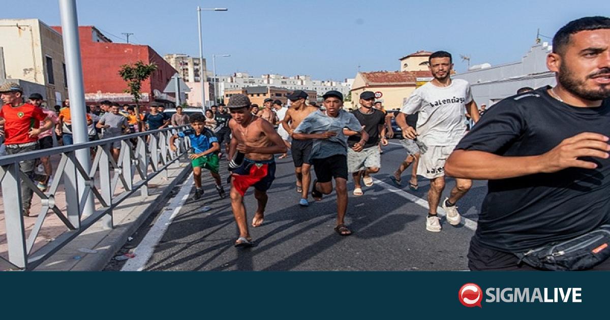&Gamma;&iota;&alpha;&tau;ί &eta; &Theta;έ&omicron;&upsilon;&tau;&alpha; &alpha;&pi;&omicron;&tau;έ&lambda;&epsilon;&sigma;&epsilon; &sigma;&eta;&mu;&epsilon;ί&omicron; &alpha;&nu;ά&phi;&lambda;&epsilon;&xi;&eta;&sigmaf;; &Tau;έ&sigma;&sigma;&epsilon;&rho;&alpha; &beta;&alpha;&sigma;&iota;&kappa;ά &alpha;ί&tau;&iota;&alpha; &gamma;&iota;&alpha; &tau;&eta;&nu; &kappa;&rho;ί&sigma;&eta;