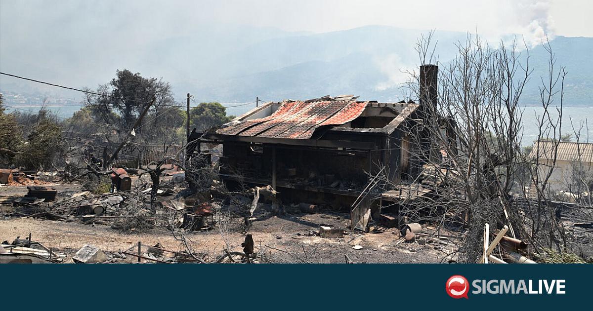 &Delta;ύ&omicron; &sigma;&upsilon;&lambda;&lambda;ή&psi;&epsilon;&iota;&sigmaf; &gamma;&iota;&alpha; &tau;&eta; &mu;&epsilon;&gamma;ά&lambda;&eta; &phi;&omega;&tau;&iota;ά &sigma;&tau;&eta; &Beta;&omicron;&iota;&omega;&tau;ί&alpha;