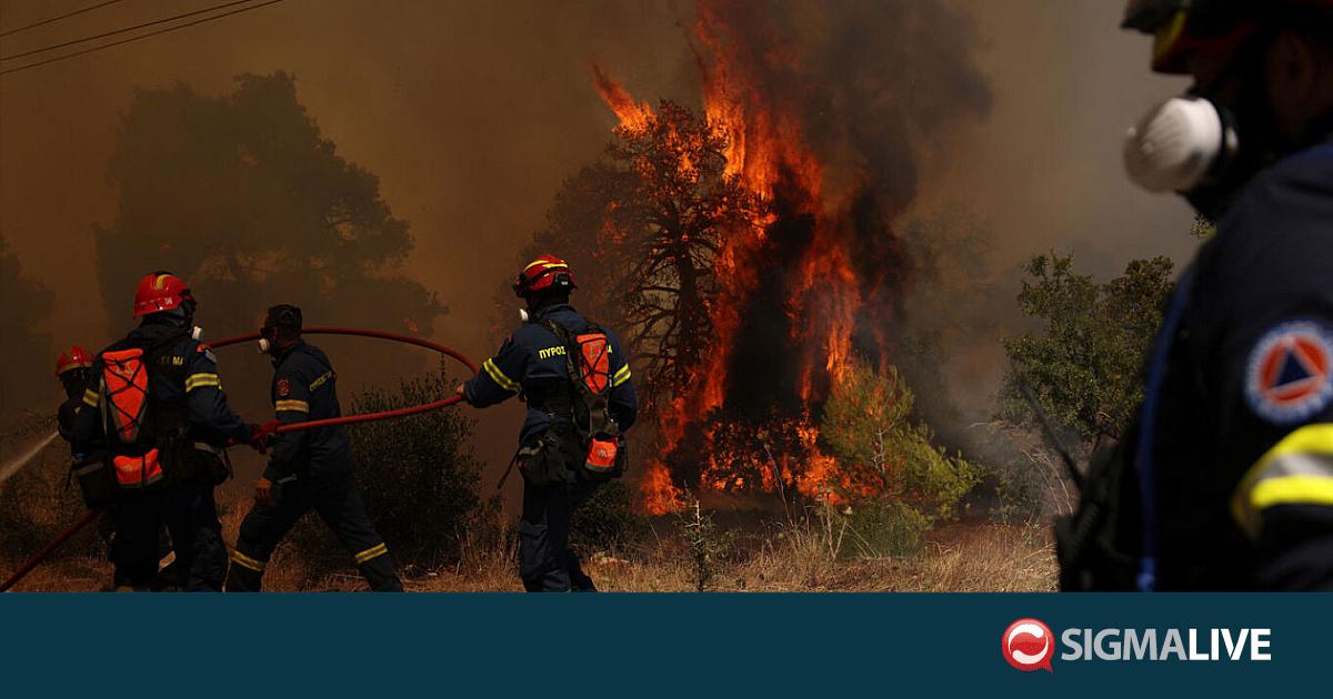&Alpha;&nu;&epsilon;&xi;έ&lambda;&epsilon;&gamma;&kappa;&tau;&eta; &eta; &phi;&omega;&tau;&iota;ά &sigma;&tau;&eta;&nu; &Alpha;&tau;&tau;&iota;&kappa;&omicron;&beta;&omicron;&iota;&omega;&tau;ί&alpha;
