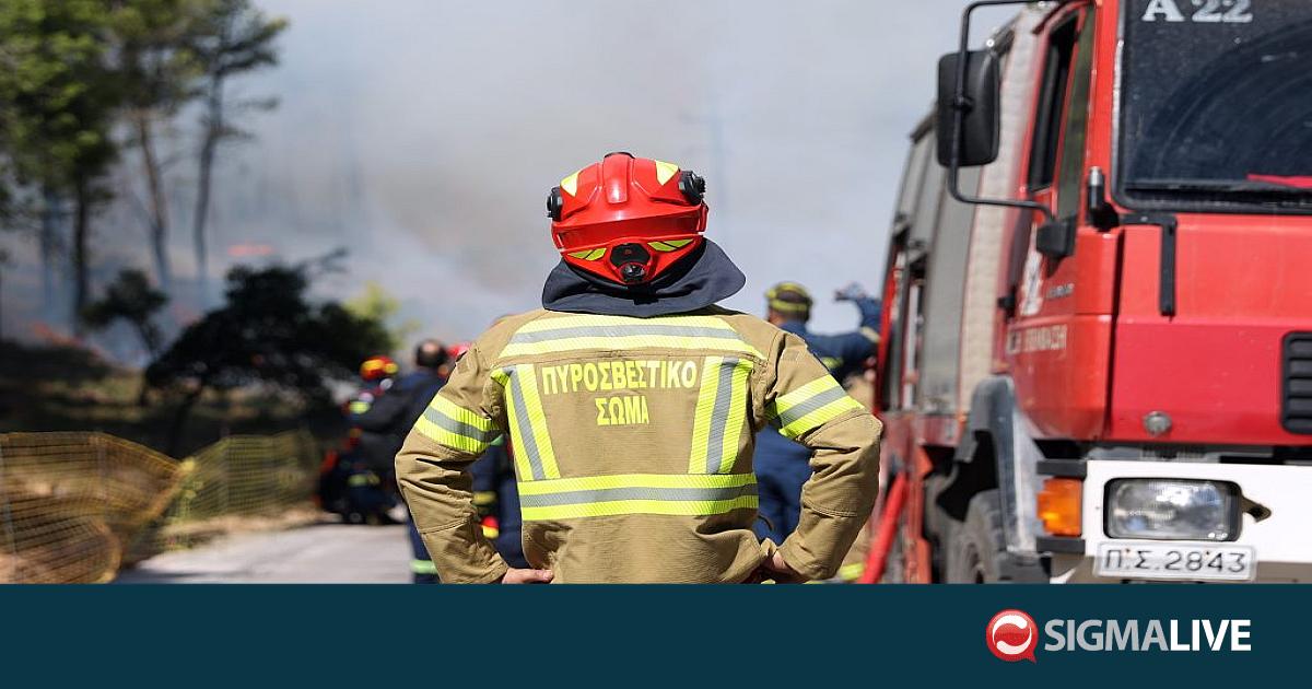 &Sigma;&upsilon;&nu;&epsilon;&chi;ί&zeta;&epsilon;&tau;&alpha;&iota; &eta; &mu;ά&chi;&eta; &mu;&epsilon; &tau;&eta; &phi;&omega;&tau;&iota;ά &sigma;&tau;&eta;&nu; &Kappa;&epsilon;&phi;&alpha;&lambda;&omicron;&nu;&iota;ά