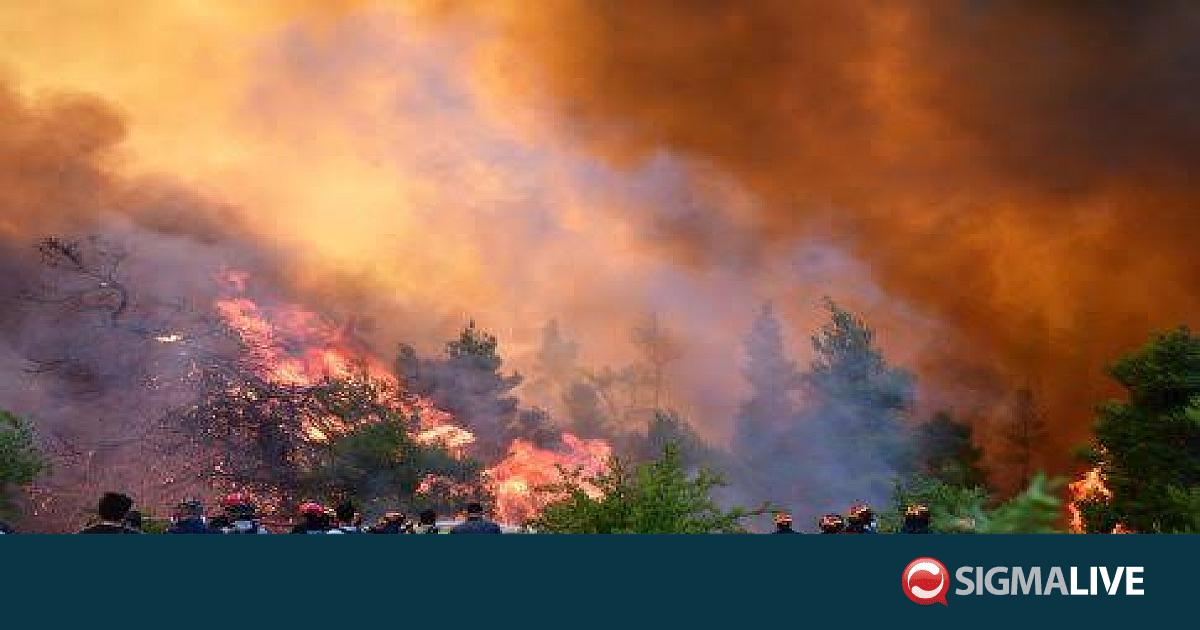 &Omicron;&rho;&iota;&omicron;&theta;&epsilon;&tau;ή&theta;&eta;&kappa;&epsilon; &eta; &pi;&upsilon;&rho;&kappa;&alpha;&gamma;&iota;ά &sigma;&tau;&eta; &Nu;έ&alpha; &Tau;έ&nu;&epsilon;&delta;&omicron; &Chi;&alpha;&lambda;&kappa;&iota;&delta;&iota;&kappa;ή&sigmaf;