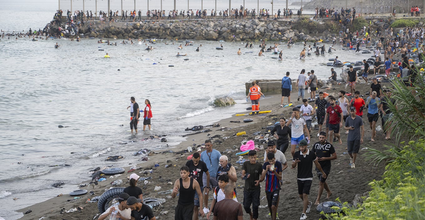 &Sigma;&tau;&omicron;&upsilon;&sigmaf; 72 &omicron;&iota; &nu;&epsilon;&kappa;&rho;&omicron;ί &alpha;&pi;ό &tau;&omicron; &mu;&alpha;&zeta;&iota;&kappa;ό &kappa;ύ&mu;&alpha; &mu;&epsilon;&tau;&alpha;&nu;&alpha;&sigma;&tau;ώ&nu; &sigma;&tau;&omicron; &theta;ύ&lambda;&alpha;&kappa;&alpha; &tau;&eta;&sigmaf; &Theta;έ&omicron;&upsilon;&tau;&alpha;