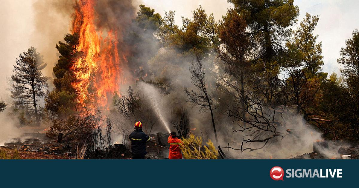 &Lambda;&omicron;&gamma;&gamma;ί&nu;&omicron;&sigmaf; &gamma;&iota;&alpha; &pi;&upsilon;&rho;&kappa;&alpha;&gamma;&iota;έ&sigmaf; &Epsilon;&lambda;&lambda;ά&delta;&alpha;&sigmaf;: &Sigma;&tau;&eta; &delta;&iota;ά&theta;&epsilon;&sigma;&eta; &tau;&omicron;&upsilon;&sigmaf; &nu;&alpha; &tau;&omicron;&upsilon;&sigmaf; &beta;&omicron;&eta;&theta;ή&sigma;&omicron;&upsilon;&mu;&epsilon;