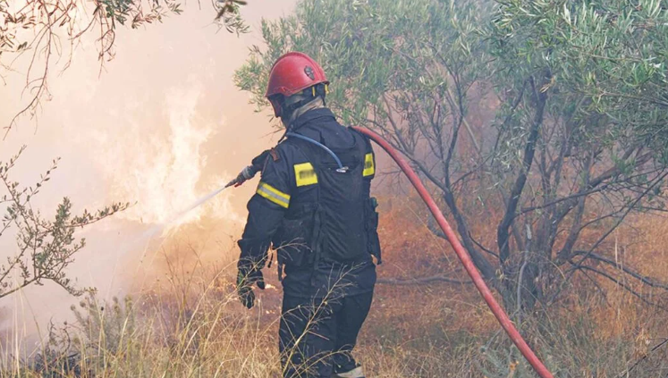 Wildfires in Europe Cause Over 3 Billion Euros in Losses