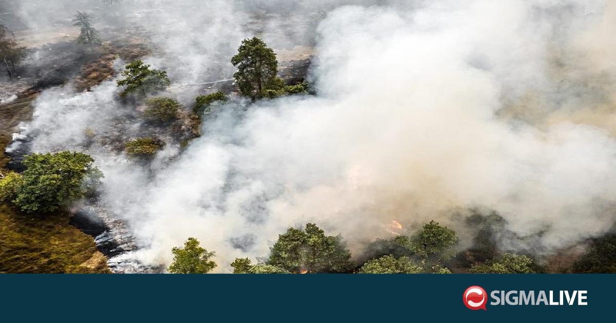 &Omicron;&lambda;&lambda;&alpha;&nu;&delta;ί&alpha;: &Epsilon;&kappa;&tau;ό&sigmaf; &epsilon;&lambda;έ&gamma;&chi;&omicron;&upsilon; &mu;&epsilon;&gamma;ά&lambda;&eta; &delta;&alpha;&sigma;&iota;&kappa;ή &pi;&upsilon;&rho;&kappa;&alpha;&gamma;&iota;ά