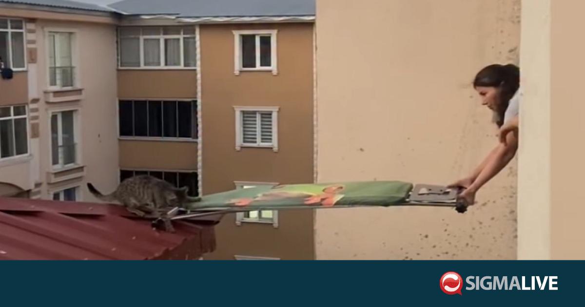 &Tau;&omicron;&upsilon;&rho;&kappa;ί&alpha;: &Epsilon;&upsilon;&rho;&eta;&mu;&alpha;&tau;&iota;&kappa;ή &delta;&iota;ά&sigma;&omega;&sigma;&eta; &gamma;ά&tau;&alpha;&sigmaf; &alpha;&pi;ό &kappa;&tau;ή&rho;&iota;&omicron;-Έ&phi;&tau;&iota;&alpha;&xi;&alpha;&nu; &gamma;έ&phi;&upsilon;&rho;&alpha; &mu;&epsilon; &sigma;&iota;&delta;&epsilon;&rho;ώ&sigma;&tau;&rho;&alpha;