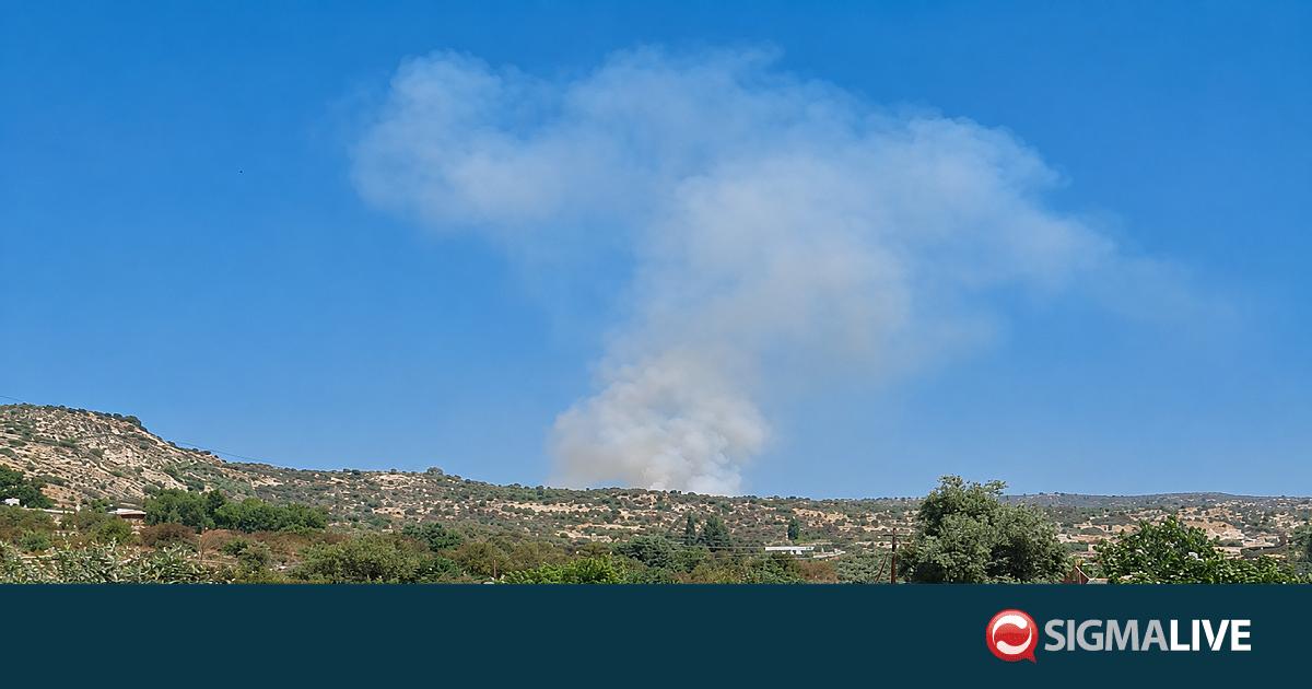 &Epsilon;&Kappa;&Tau;&Alpha;&Kappa;&Tau;&Omicron;: &Sigma;&upsilon;&nu;&alpha;&gamma;&epsilon;&rho;&mu;ό&sigmaf; &mu;&epsilon;&tau;ά &alpha;&pi;ό &phi;&omega;&tau;&iota;ά &sigma;&tau;&eta;&nu; &epsilon;&pi;&alpha;&rho;&chi;ί&alpha; &Lambda;&epsilon;&mu;&epsilon;&sigma;&omicron;ύ (vid)