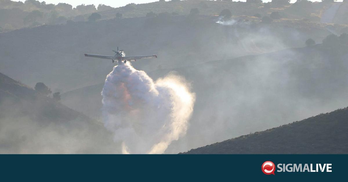 &Kappa;&omicron;&iota;&nu;. &Sigma;&upsilon;&mu;&beta;&omicron;ύ&lambda;&iota;&omicron; &Psi;&epsilon;&upsilon;&delta;ά: &laquo;&Eta; &alpha;&sigma;&phi;ά&lambda;&epsilon;&iota;&alpha; &tau;&omega;&nu; &kappa;&alpha;&tau;&omicron;ί&kappa;&omega;&nu; &delta;&epsilon;&nu; &epsilon;ί&nu;&alpha;&iota; &delta;&iota;&alpha;&pi;&rho;&alpha;&gamma;&mu;&alpha;&tau;&epsilon;ύ&sigma;&iota;&mu;&eta;&raquo;