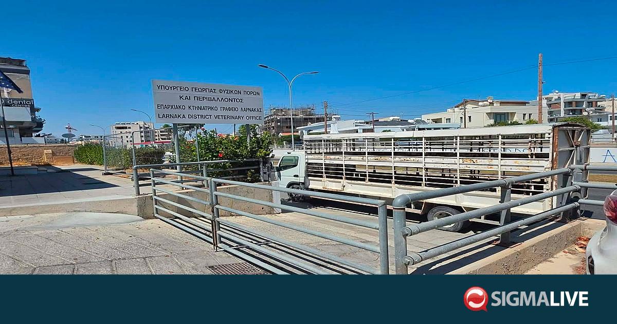 &Pi;&alpha;&rho;έ&mu;&beta;&alpha;&sigma;&eta; &Pi;&tau;&Delta; &gamma;&iota;&alpha; &tau;&iota;&sigmaf; &alpha;&pi;&omicron;&zeta;&eta;&mu;&iota;ώ&sigma;&epsilon;&iota;&sigmaf; &zeta;&eta;&tau;&omicron;ύ&nu; &omicron;&iota; &kappa;&tau;&eta;&nu;&omicron;&tau;&rho;ό&phi;&omicron;&iota; -&laquo;&Pi;&lambda;ή&rho;&eta;&sigmaf; &alpha;&delta;&iota;&alpha;&phi;&omicron;&rho;ί&alpha;&raquo;