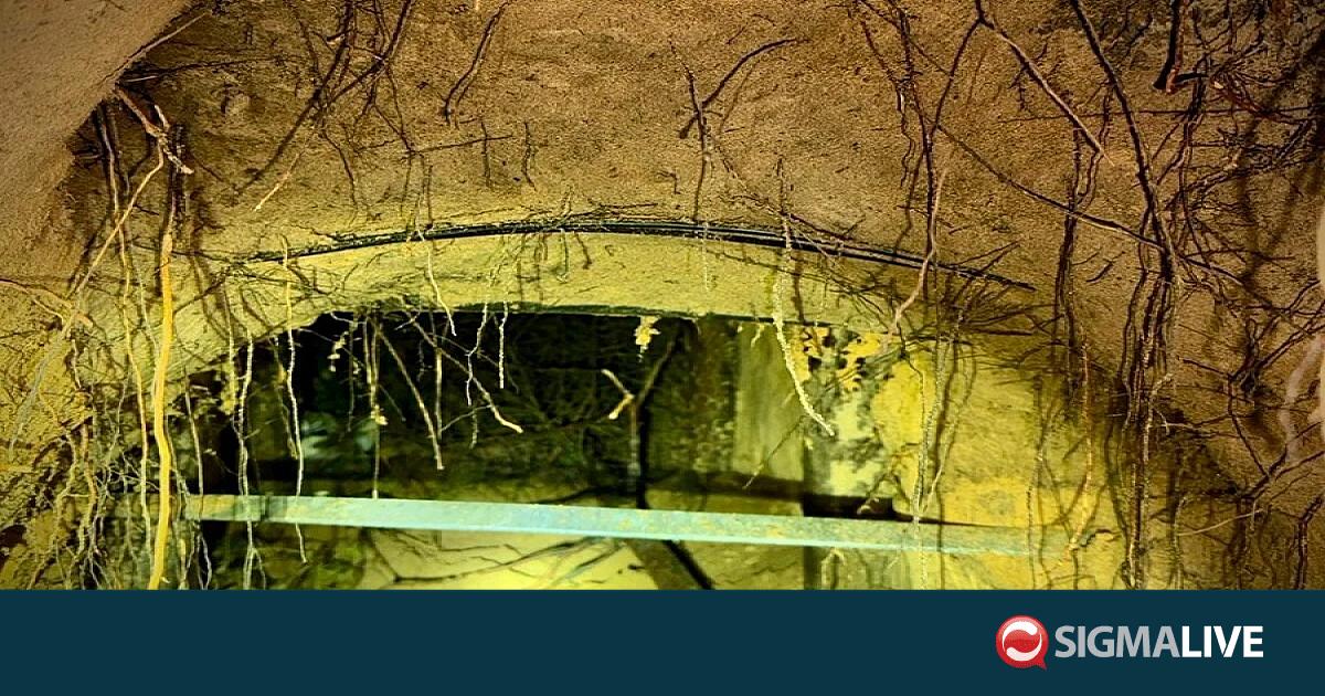 &Lambda;&iota;&theta;&omicron;&upsilon;&alpha;&nu;ί&alpha;: &Epsilon;&nu;&tau;&omicron;&pi;ί&sigma;&tau;&eta;&kappa;&epsilon; &nu;έ&alpha; &mu;&upsilon;&sigma;&tau;&iota;&kappa;ή &sigma;ή&rho;&alpha;&gamma;&gamma;&alpha; &delta;&iota;&alpha;&kappa;ί&nu;&eta;&sigma;&eta;&sigmaf; &mu;&epsilon;&tau;&alpha;&nu;&alpha;&sigma;&tau;ώ&nu;