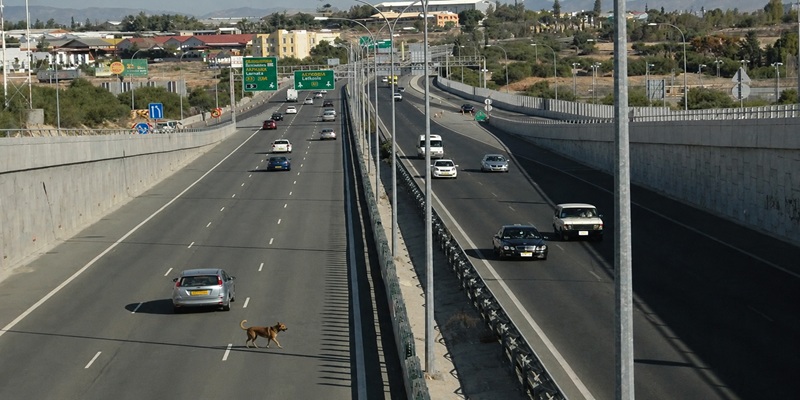 &Omicron;&delta;&eta;&gamma;&omicron;ί &pi;&rho;&omicron;&sigma;&omicron;&chi;ή: &Pi;&epsilon;&rho;&iota;&phi;έ&rho;&epsilon;&tau;&alpha;&iota; &sigma;&kappa;ύ&lambda;&omicron;&sigmaf; &sigma;&tau;&omicron;&nu; &alpha;&upsilon;&tau;&omicron;/&delta;&rho;&omicron;&mu;&omicron; &Kappa;&omicron;&kappa;&kappa;&iota;&nu;&omicron;&tau;&rho;&iota;&mu;&iota;&theta;&iota;ά&sigmaf;
