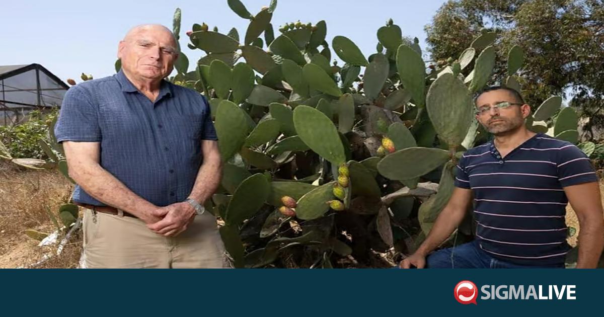 &Iota;&sigma;&rho;&alpha;&eta;&lambda;&iota;&nu;ή &alpha;&pi;&omicron;&sigma;&tau;&omicron;&lambda;ή &sigma;&epsilon; &Kappa;ύ&pi;&rho;&omicron; &gamma;&iota;&alpha; &nu;&alpha; &sigma;ώ&sigma;&epsilon;&iota; &pi;&alpha;&pi;&omicron;&upsilon;&tau;&sigma;&omicron;&sigma;&upsilon;&kappa;&iota;έ&sigmaf;-&laquo;&Theta;&alpha; &beta;&omicron;&eta;&theta;ή&sigma;&omicron;&upsilon;&mu;&epsilon; &delta;&omega;&rho;&epsilon;ά&nu;&raquo;
