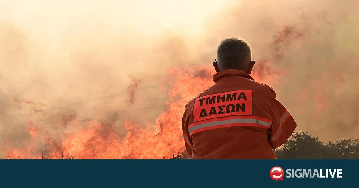 &Upsilon;&pi;ό &pi;&lambda;ή&rho;&eta; έ&lambda;&epsilon;&gamma;&chi;&omicron; &delta;&alpha;&sigma;&iota;&kappa;ή &pi;&upsilon;&rho;&kappa;&alpha;&gamma;&iota;ά &sigma;&tau;&omicron;&nu; Ά&gamma;&iota;&omicron; &Iota;&omega;ά&nu;&nu;&eta; &Mu;&alpha;&lambda;&omicron;ύ&nu;&tau;&alpha;&sigmaf;