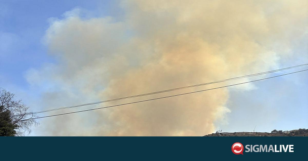 &Sigma;&tau;&omicron;&nu; &Pi;ά&lambda;&mu;&alpha; &tau;&omicron; &pi;ό&rho;&iota;&sigma;&mu;&alpha; &tau;&eta;&sigmaf; &Epsilon;&Phi; &gamma;&iota;&alpha; &Kappa;&alpha;&lambda;ό &Chi;&omega;&rho;&iota;ό: &laquo;&Theta;&alpha; &alpha;&pi;&omicron;&delta;&omicron;&theta;&omicron;ύ&nu; &tau;&upsilon;&chi;ό&nu; &epsilon;&upsilon;&theta;ύ&nu;&epsilon;&sigmaf;&raquo;