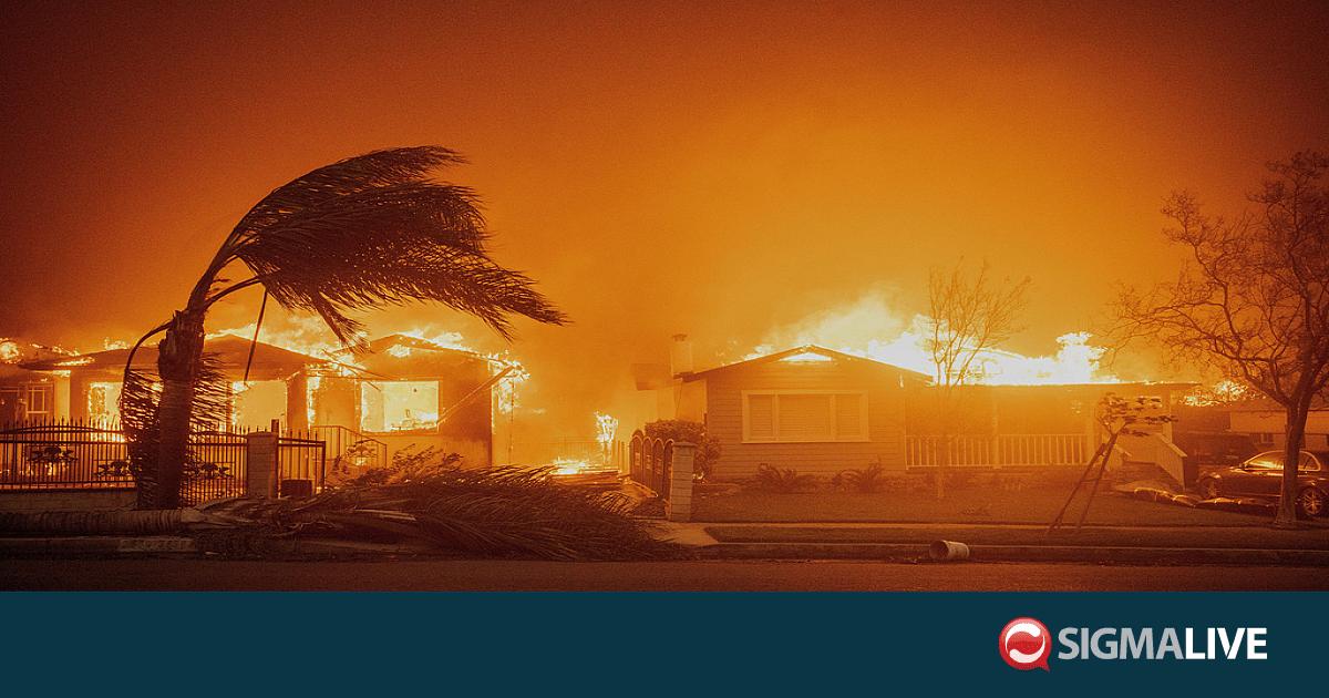 &Kappa;&alpha;&lambda;&iota;&phi;ό&rho;&nu;&iota;&alpha;: &Epsilon;&nu;&tau;&omicron;&pi;ί&sigma;&tau;&eta;&kappa;&epsilon; &sigma;&omicron;&rho;ό&sigmaf; &sigma;&epsilon; &sigma;&pi;ί&tau;&iota; &pi;&omicron;&upsilon; &kappa;&alpha;&tau;έ&sigma;&tau;&rho;&epsilon;&psi;&epsilon; &eta; &mu;&epsilon;&gamma;ά&lambda;&eta; &pi;&upsilon;&rho;&kappa;&alpha;&gamma;&iota;ά