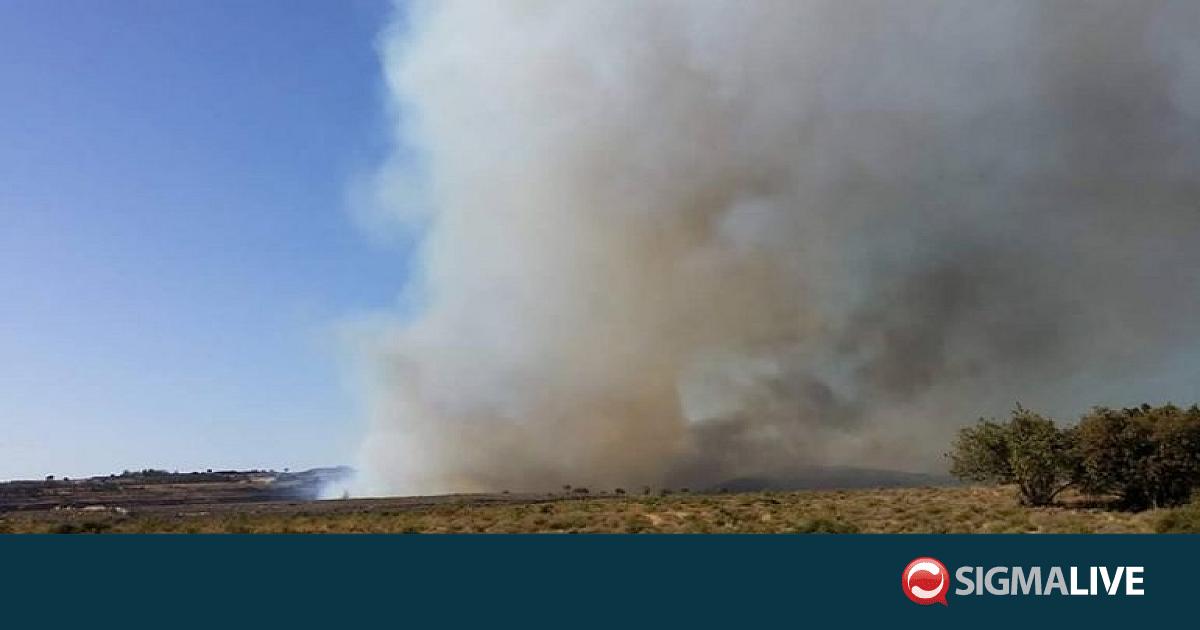 &Mu;&epsilon;&lambda;έ&tau;&eta;&sigma;&epsilon; &tau;&omicron; &pi;ό&rho;&iota;&sigma;&mu;&alpha; &tau;&eta;&sigmaf; &phi;&omega;&tau;&iota;ά&sigmaf; &sigma;&tau;&omicron; &Kappa;&alpha;&lambda;ό &Chi;&omega;&rho;&iota;ό &omicron; &Pi;ά&lambda;&mu;&alpha;&sigmaf;- &laquo;&Omicron;&upsilon;&delta;έ&nu; &sigma;&chi;ό&lambda;&iota;&omicron;&raquo;